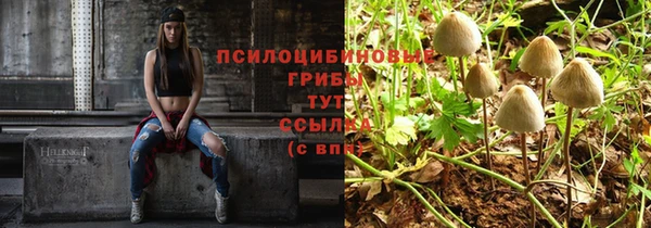 МДМА Алексеевка