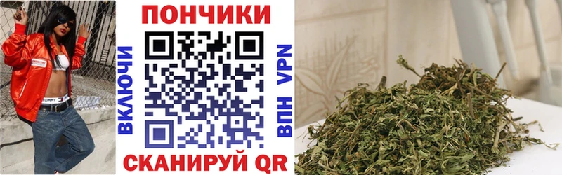 Каннабис ГИДРОПОН Углич